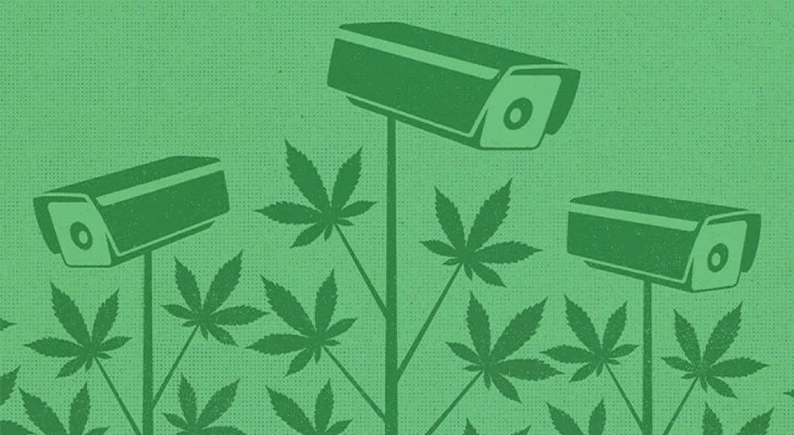 Cannabis Security System
