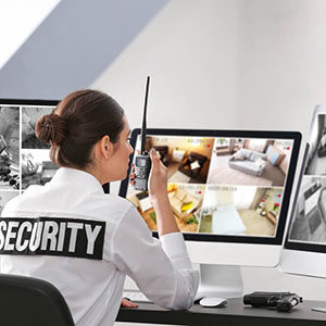 Virtual Guard’s crime prevention