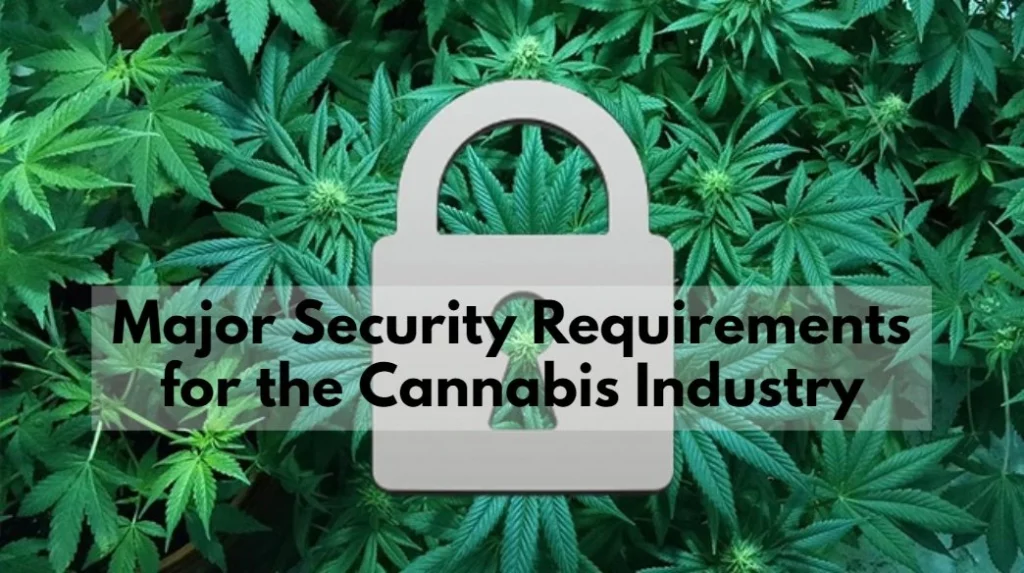Security Cannabis Industry