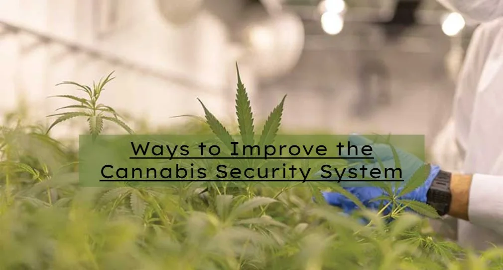 Cannabis Security System