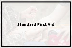 Standard First Aid